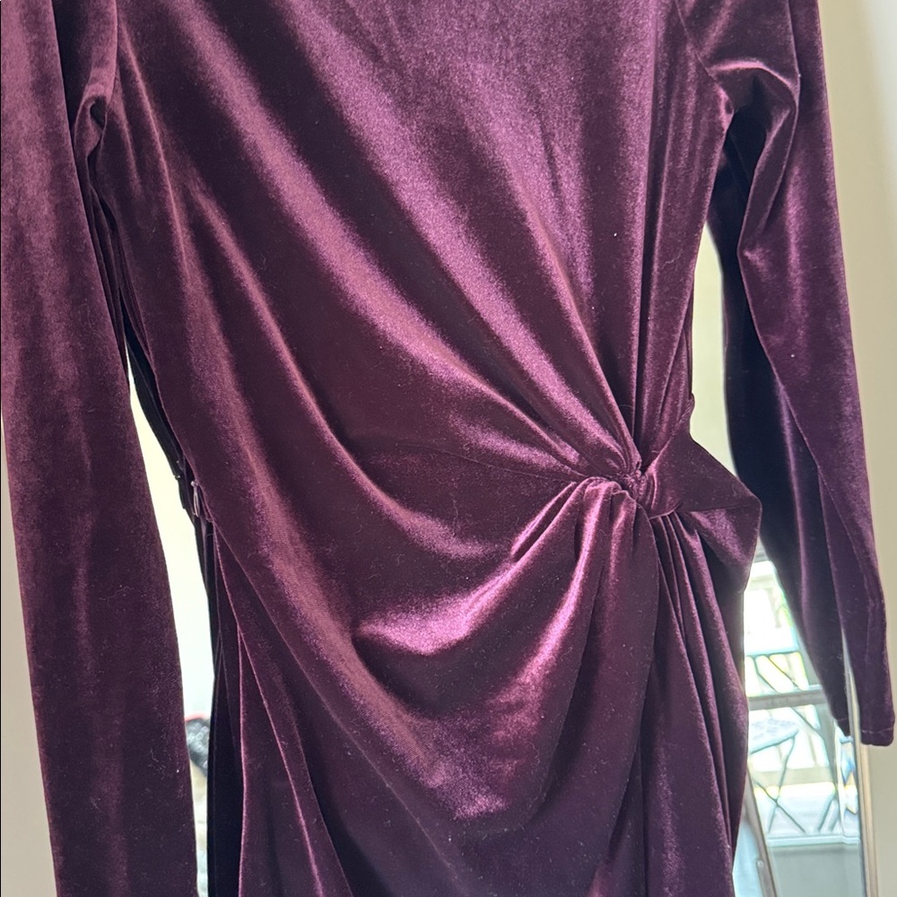ANTONIO MELANI Rich Purple Velvet Top